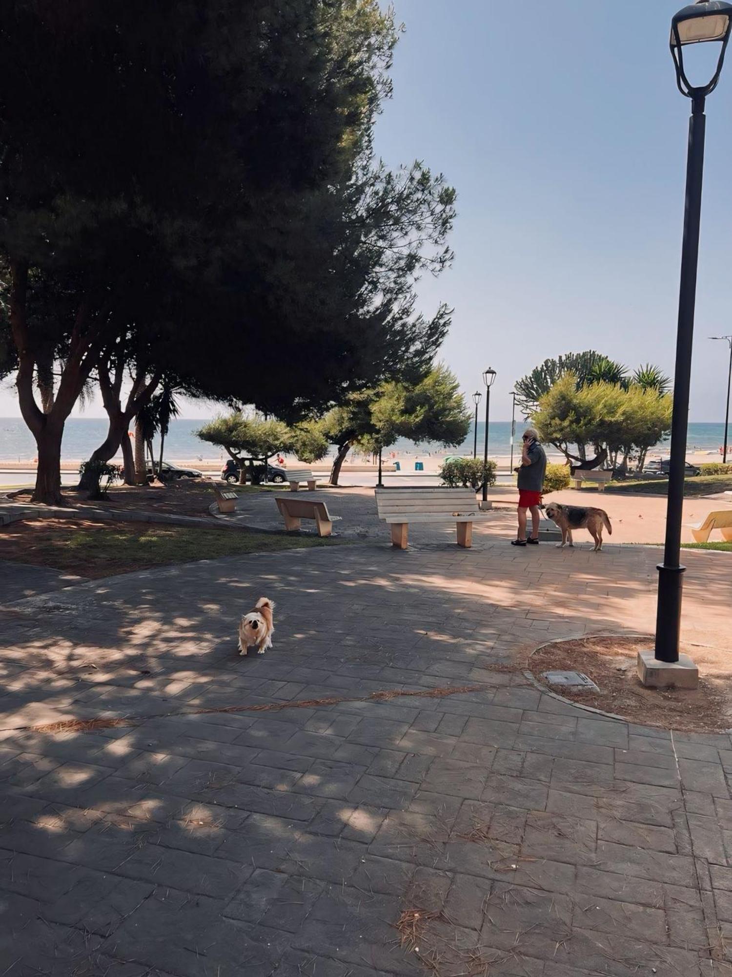 Ferienwohnung 50 Pasos Hacia El Mar El Campello Exterior foto